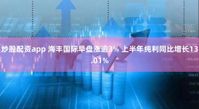 炒股配资app 海丰国际早盘涨逾3% 上半年纯利同比增长13.01%