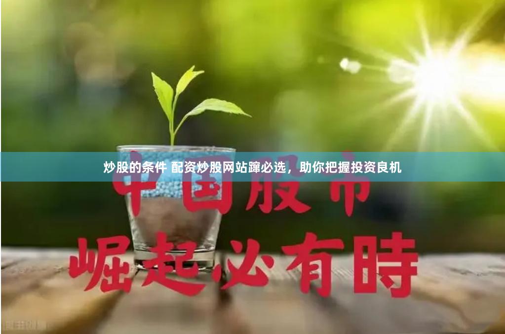 炒股的条件 配资炒股网站蹿必选，助你把握投资良机